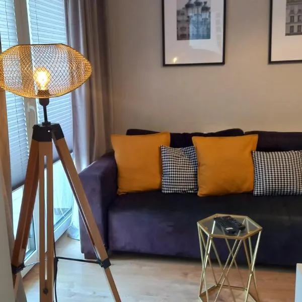 Apartament Łąkoszyn Kutno, hotel in Kutno