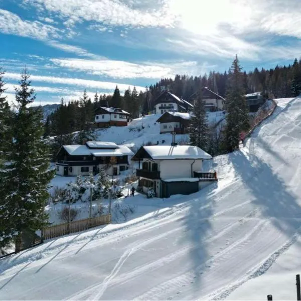 Chalet Heinrich Ski in & Ski out - Apartment Talblick, hotel in Sonnenalpe Nassfeld