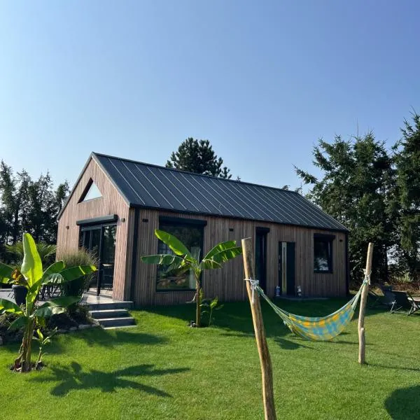 BananaHouse, hotel in Kruszwin