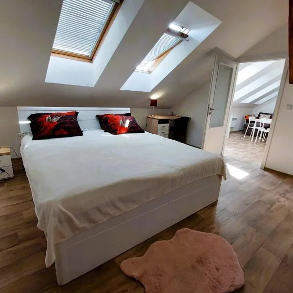 Byt Komenskeho #2# v historickém centru Hradec Králově，位于赫拉德茨 - 克拉洛韦的酒店