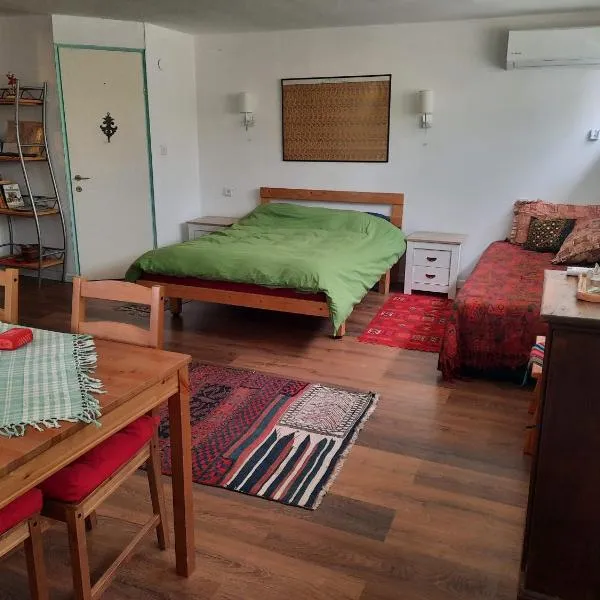 הבית הירוק - Green House, hotel v destinaci Arad