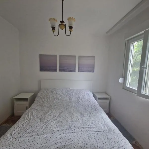Apartman Mamut, khách sạn ở Donji Milanovac