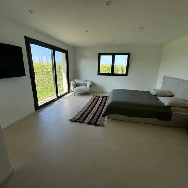 Magnifique Villa 4 chambres avec piscine, hotel v destinácii Wolfersdorf