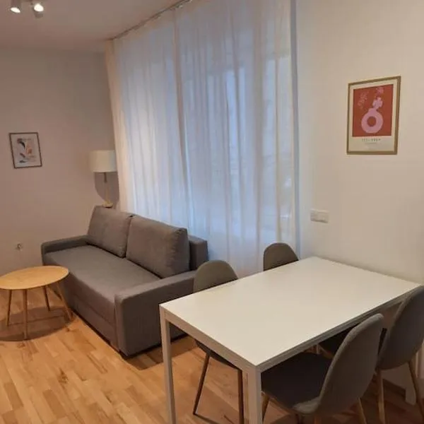 Central apartment with terrace and parking space, hotel v Linci