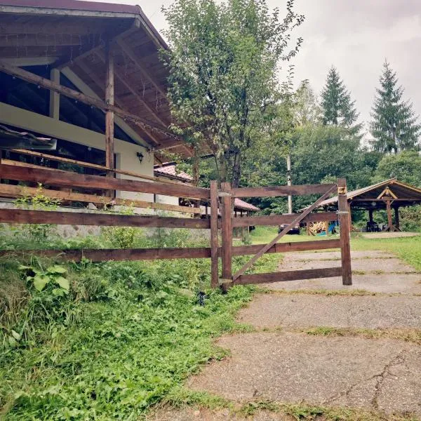 Casa Rustic, hotel v destinaci Voineşiţa