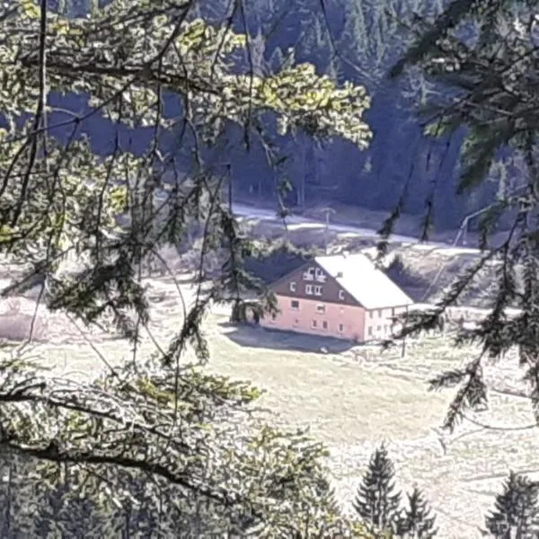 Domaine Des Hauts Viaux, hotel v destinaci La Bresse