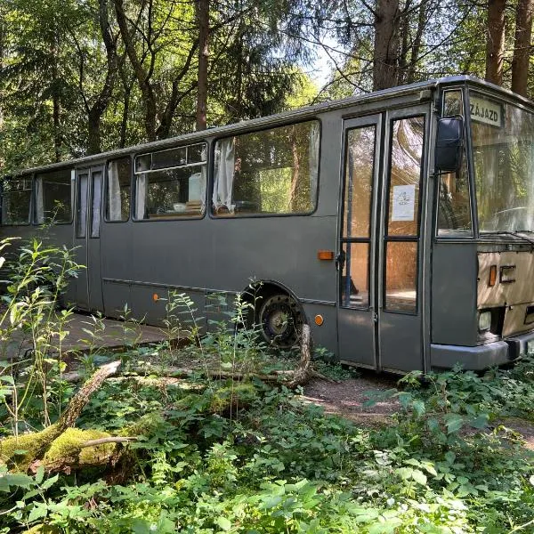 Magicbus, Hotel in Podtureň
