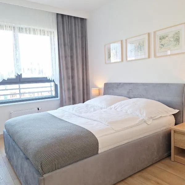 Loft 19 Apartament - w cenie prywatne miejsce postojowe lub garaż, hotelli Szczecinissä