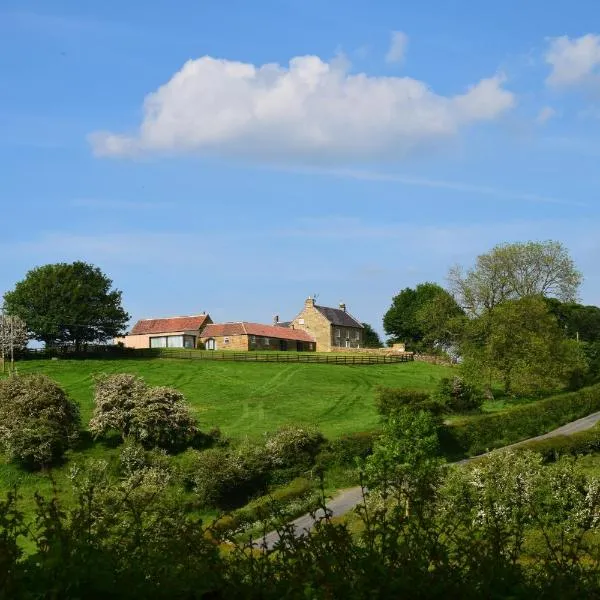 West Acre Lodge, hotel v destinaci Boltby