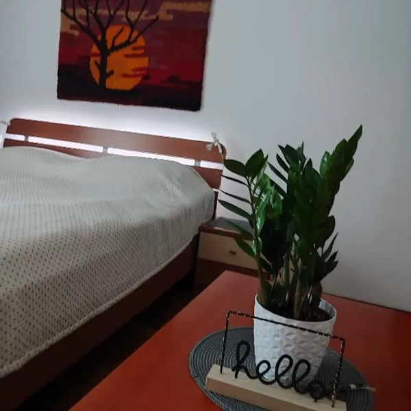 Apartma Marko Rogaška, hotel v destinaci Rogaška Slatina