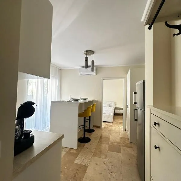 RMR Luxury Apartaments, hotel in Timişoara