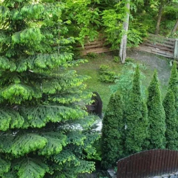 George Apartament Central cu gradina proprie, hotell i Sinaia