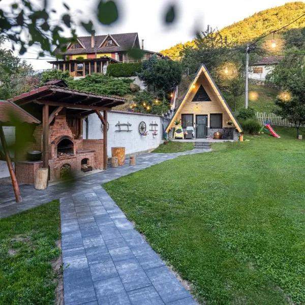 Pensiunea Casa Iulia A-Frame, hotel in Martinie
