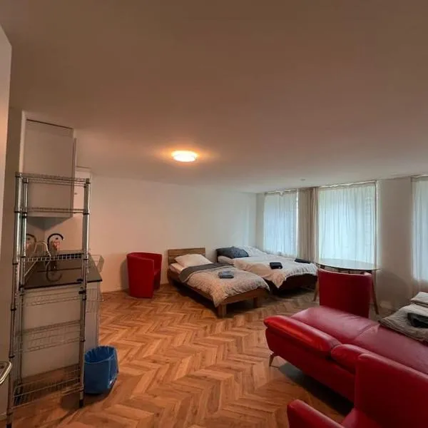 Red Apartment Freihofapartments, hotel v destinaci Brugg