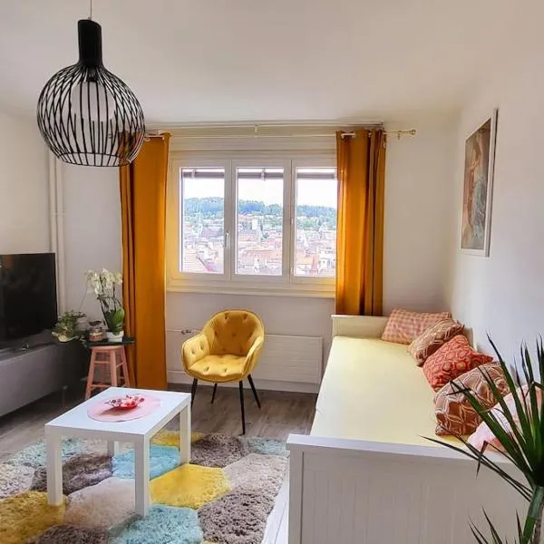 Chic appartement au centre ville, Hotel in La Chaux-de-Fonds