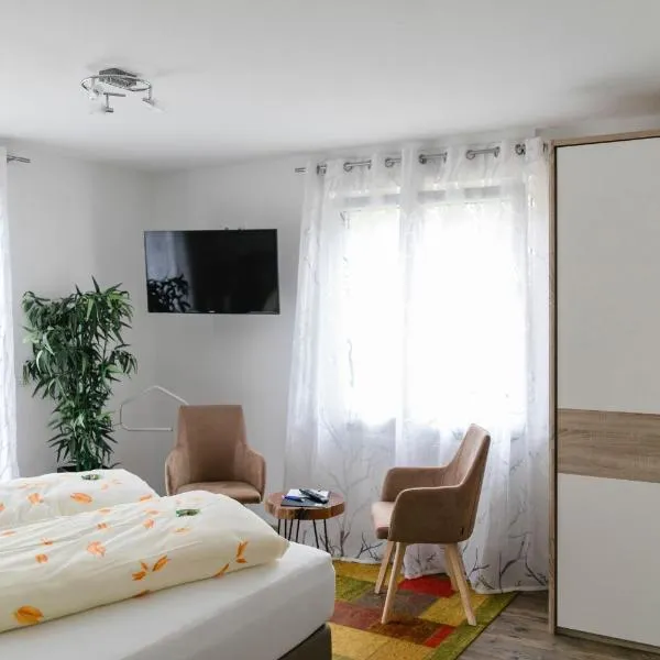 Pension Waldhorn, hotel v destinaci Aidlingen