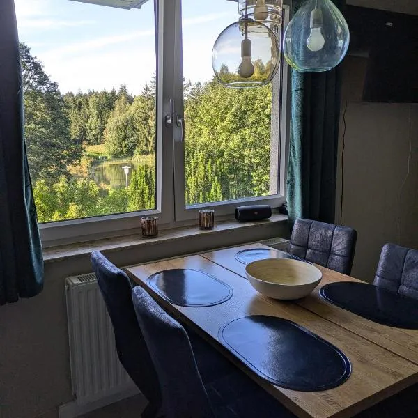 FeWo Waldseeblick Hahnenklee, hotel Goslarban