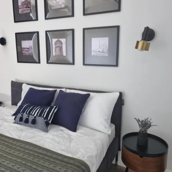 2-ком квартира с характером в центре、ウラリスクのホテル