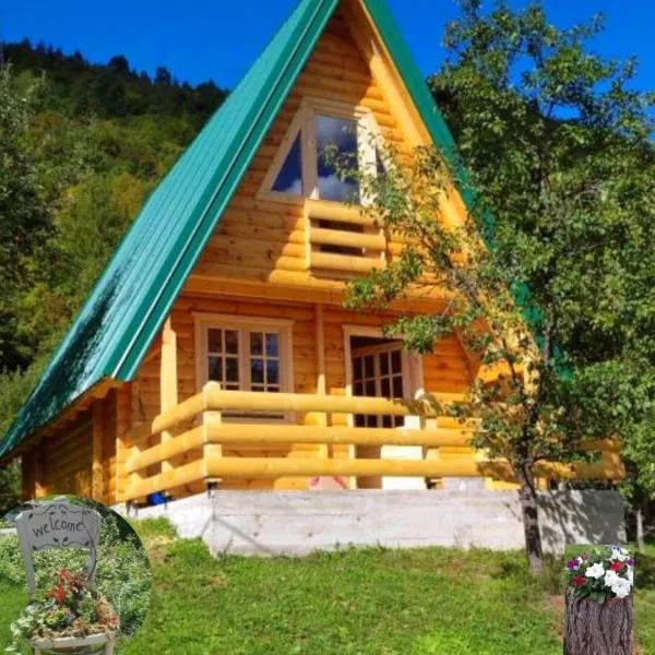 Etno house Bajka, hotel v destinaci Žabljak