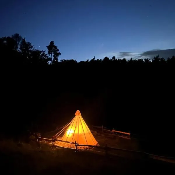 Tipi-Glamping am Gut Kunterbunt, hotel in Kaindorf