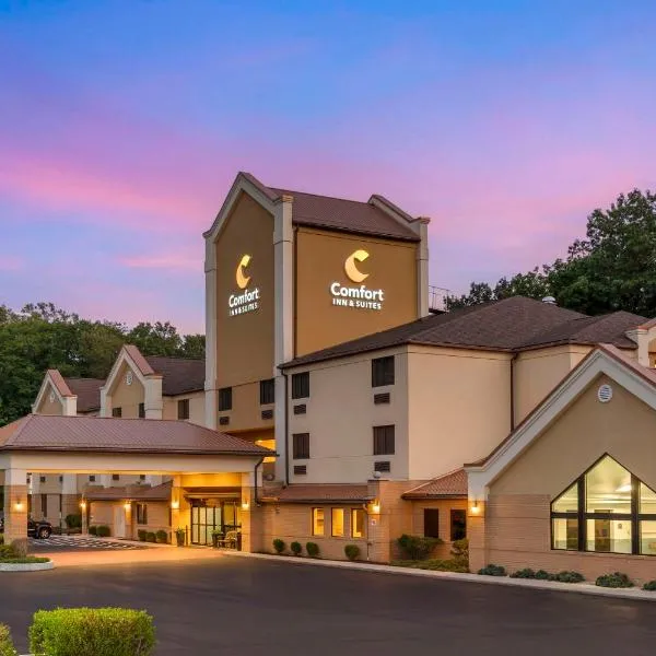 Comfort Inn & Suites LaVale - Cumberland, hotel v destinaci La Vale