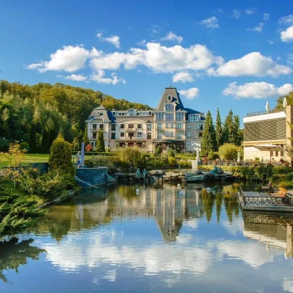 Hotel Erdeli by Derenivska Kupil, hotel in Nyzhne Solotvyno