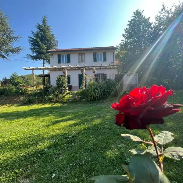 La rosa sul lago, hotel Osigliában