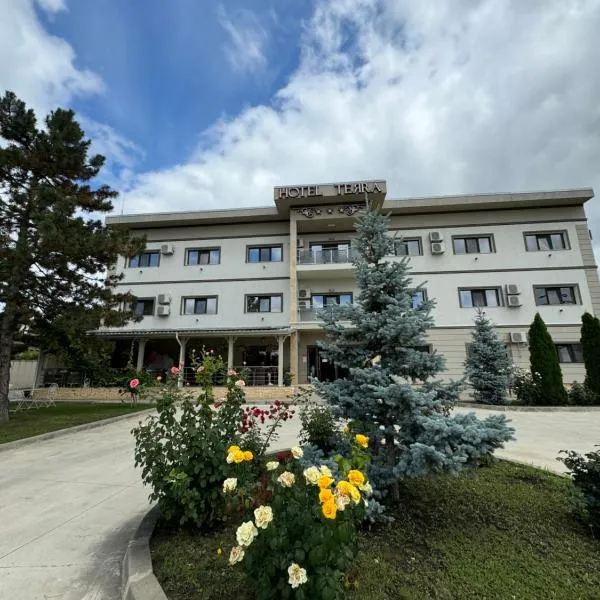 Hotel Terra Iasi、ヤシのホテル