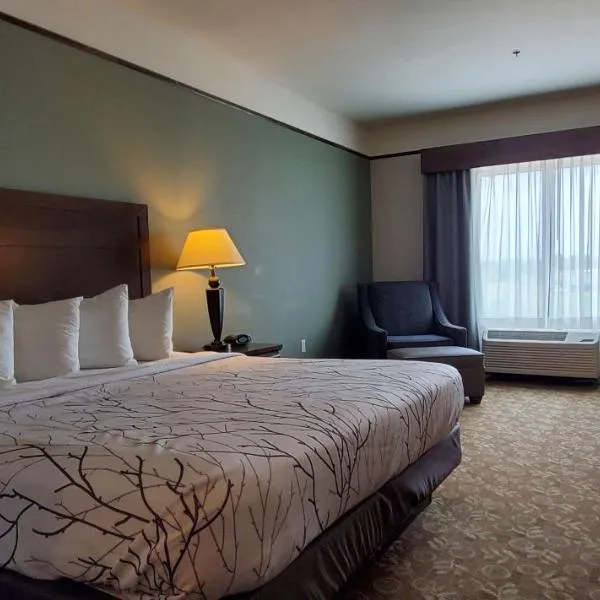 Best Western Plus Emory at Lake Fork Inn & Suites, hotel en Emory