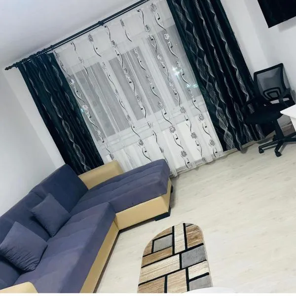 Apartament Tudorache Premium, hotel in Turceni