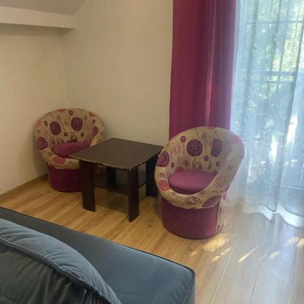 Willa Faustynka, hotel in Nałęczów