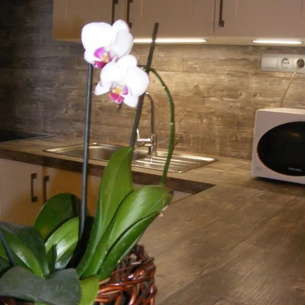 Erelia Cottage, Hotel in Bük