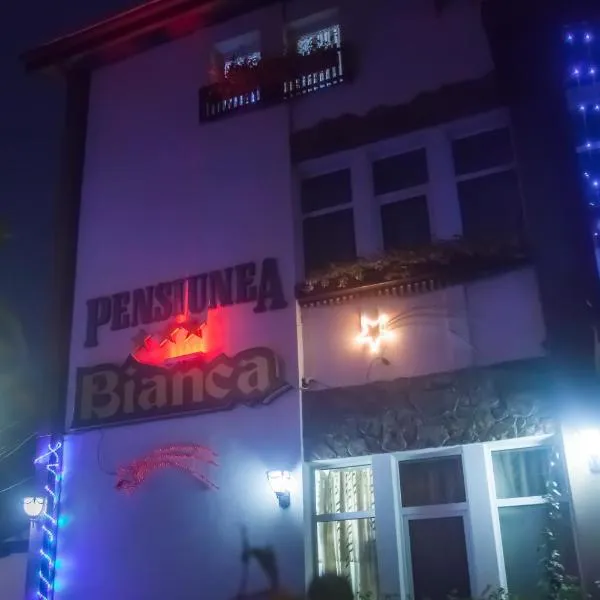 Pensiunea Bianca, hotel din Botoşani