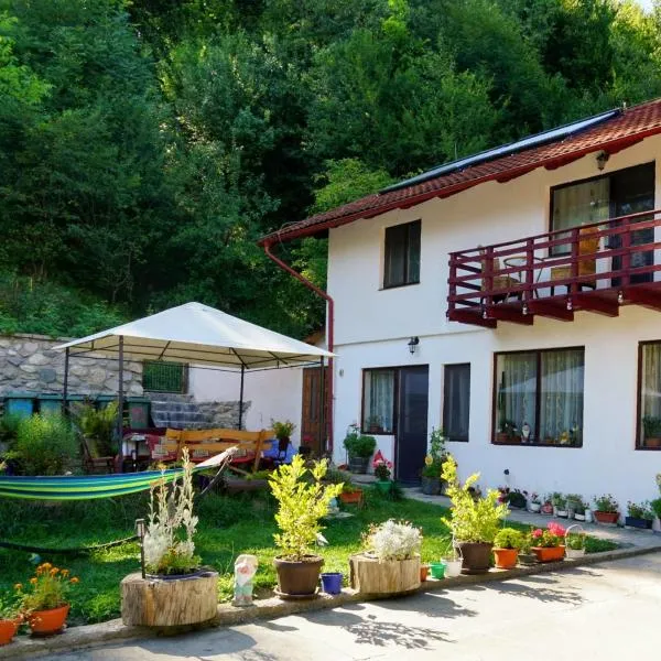 Simon House, hotel v destinaci Şimon