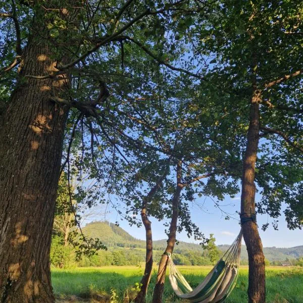 Leśna Ostoja, hotel em Goworów