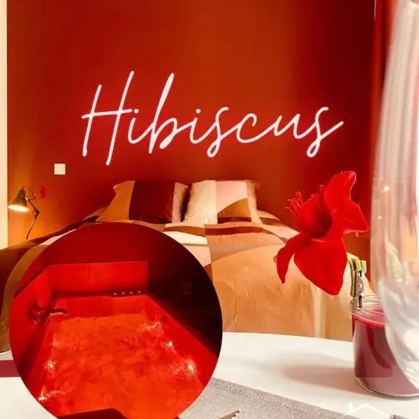 Hibiscus - Balnéo - Netflix & Chill, hotel v destinaci Montargis
