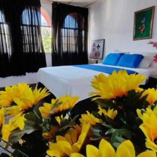 NUEVA ADM- Hotel Occidental, hotel v destinaci David