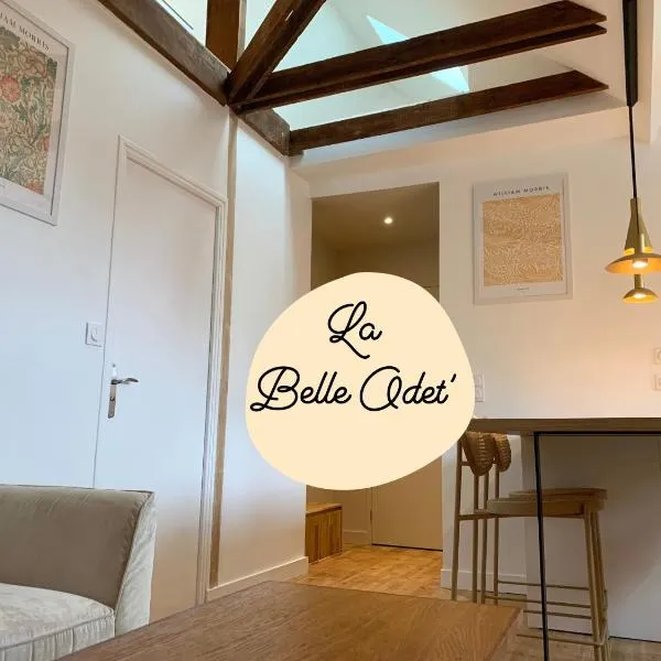 La Belle Odet' - choix d'appartements- Centre ville-quais, hotel v destinaci Quimper
