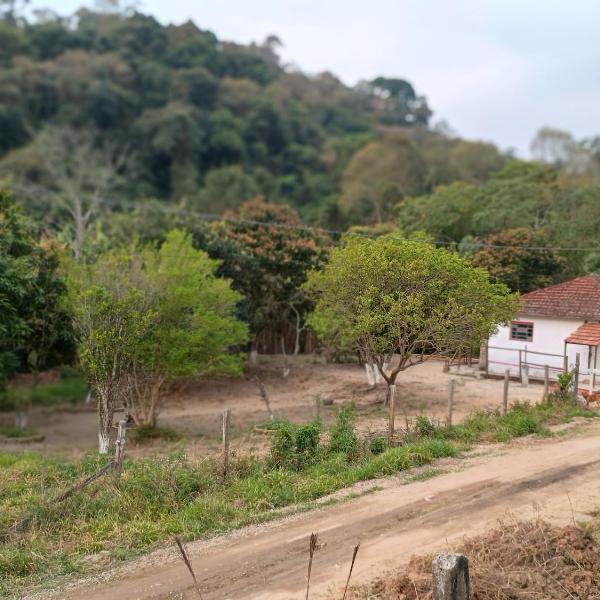 Cantinho da paz
