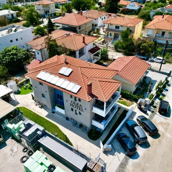 Olea Luxury Suites, hotel v destinaci Asproválta