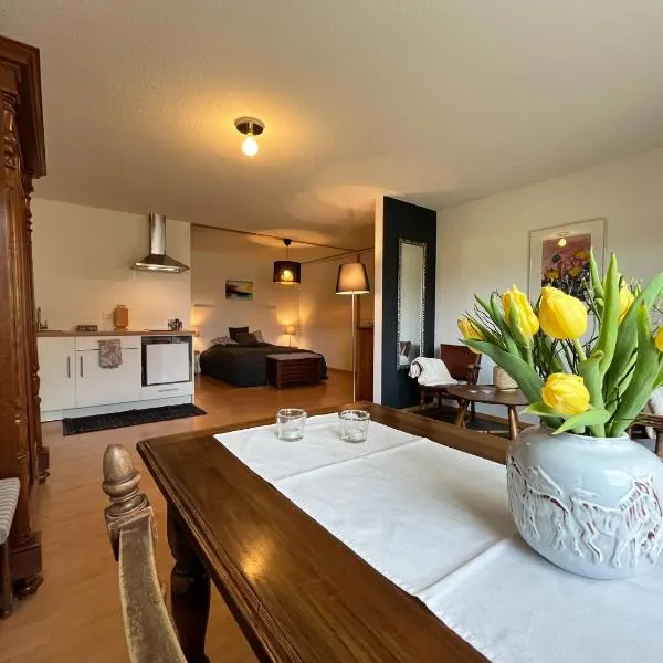 Chateau des Amours, hotel v destinaci La Sagne