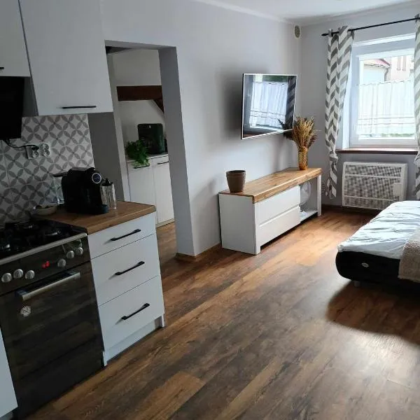 apartament 30 m2 FOR YOU, hotel v destinaci Szczawno-Zdrój