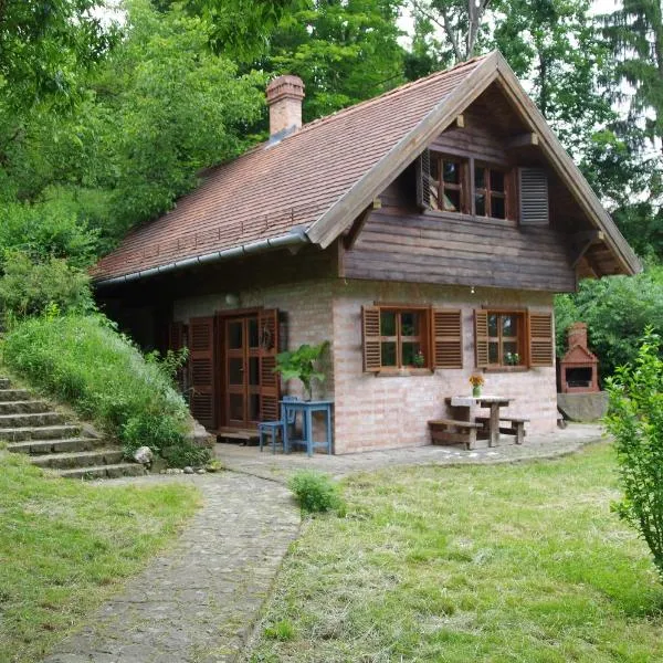 Visegrádi nyaraló nyugalomra vágyóknak, hotel in Kisoroszi