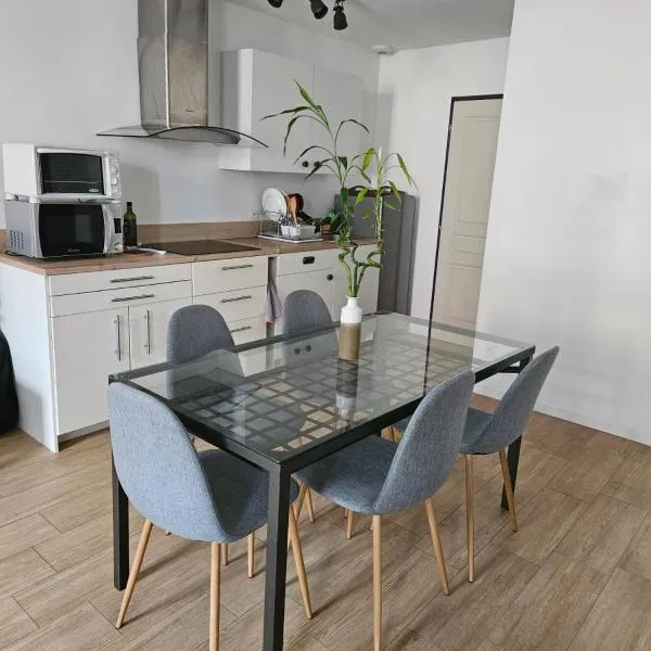 Appartement dans une ancienne usine, hotel v destinaci Chazelles-sur-Lyon