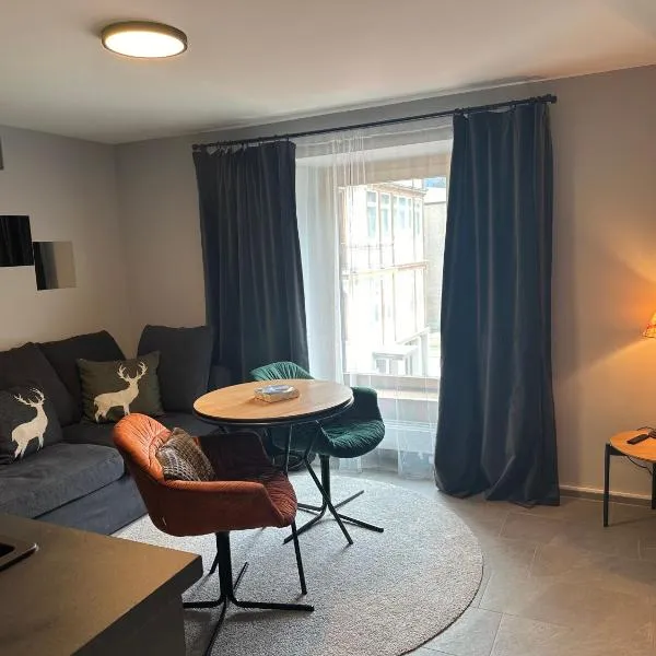 Studio Villa Anna, hotel in Davos