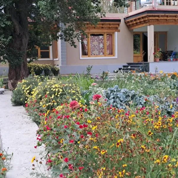 KARMA Homestay Sumur Nubra, hotel in Nubra