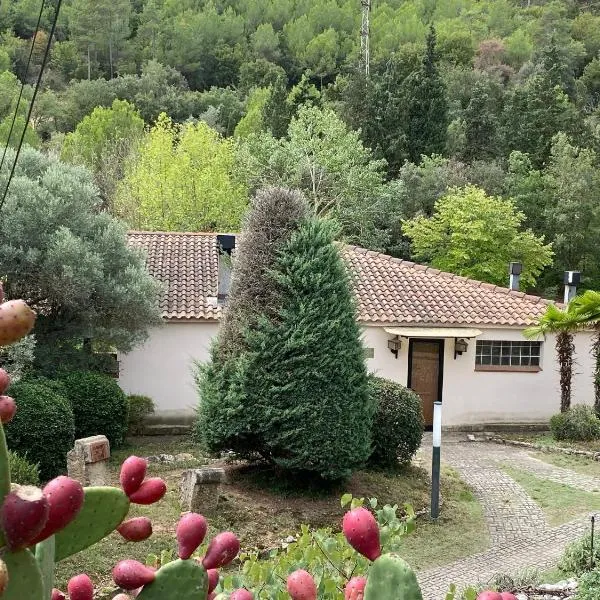 La Vinya de Mas Pujol, hotel v destinaci Suria