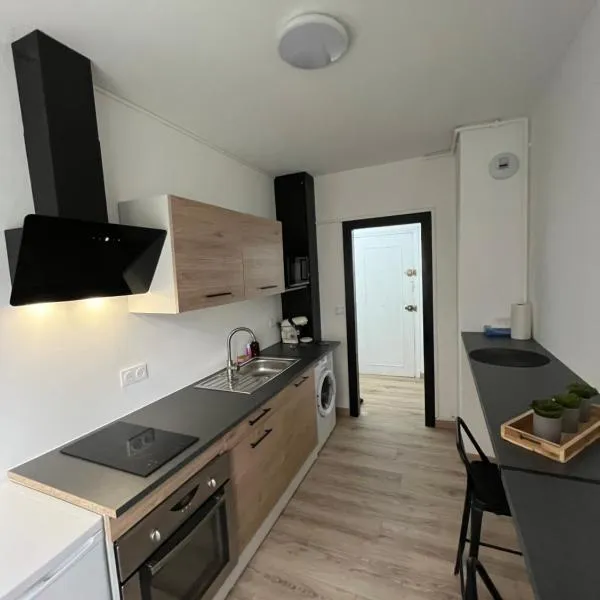 Appartement proche de la citadelle, hotel in Saint-André-lez-Lille