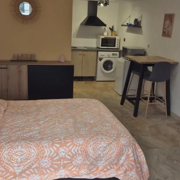studio 30 m2, hotel v destinácii Villeneuve-le-Roi