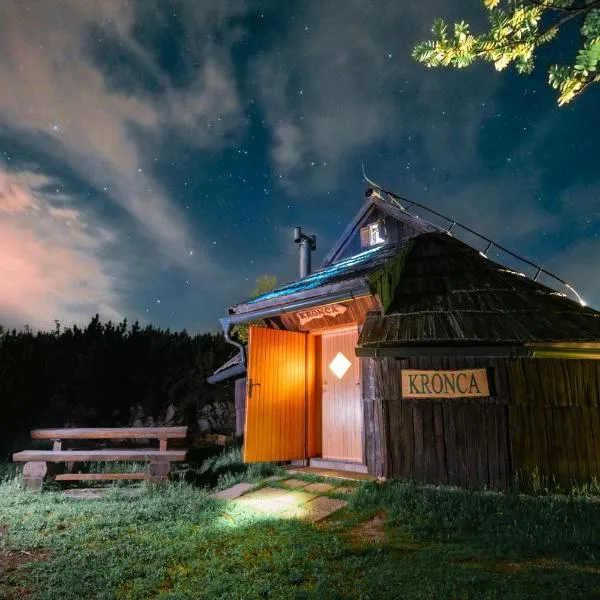 Koča Kronca - Velika planina, hotel v destinaci Stahovica
